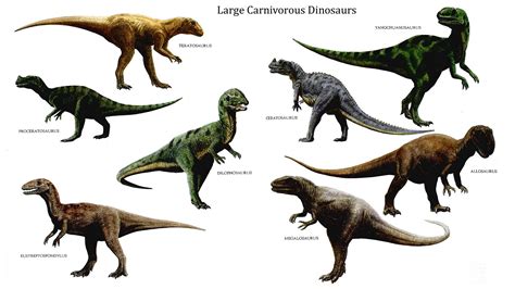 Dinosaurs For Ks1 And Ks2 Children Dinosaurs Homework Help Theschoolrun