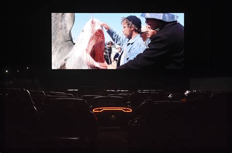 We did not find results for: What the Cast of 'Jaws' Got Up to After Their Iconic Film ...