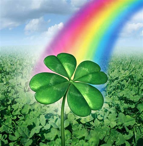 Good Luck Rainbow Four Leaf Clover Send A Charity Card Birthday