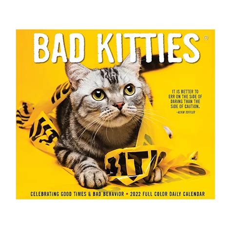 Bad Kitties 2022 Box Calendar Table Decor