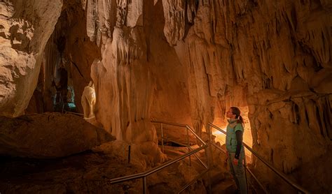 Wombeyan Karst Conservation Reserve Nsw National Parks