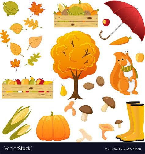 Big Set Of Cartoon Fall Autumn Objects Elements Vector Image