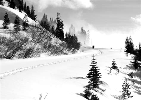 Free Images Snow Winter Black And White Mountain