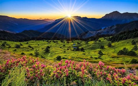 Download Flower Mountain Field Sun Sunrise Nature Landscape Hd Wallpaper