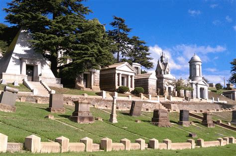 A Modern Guide to Oakland's Piedmont Avenue: Movies, Hot ... Top oakland parks & nature attractions: