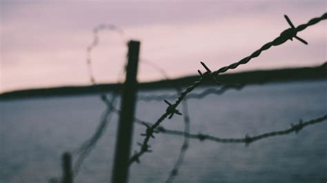Free Stock Photo Of Barbed Wire Beach Blur Goldposter Free Stock Photos