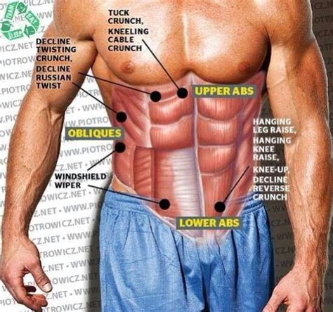 Pin By Rule7 On Bodybuilding Tips And Videos Upper Abs Abdominal