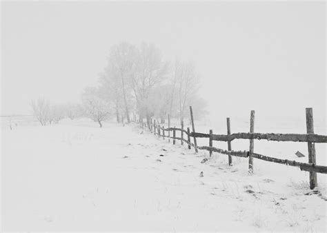 Snowy Fence Birmingham Allergy And Asthma Specialists Pc