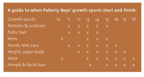 In the first stages of. Male Puberty 5 Stages Changes