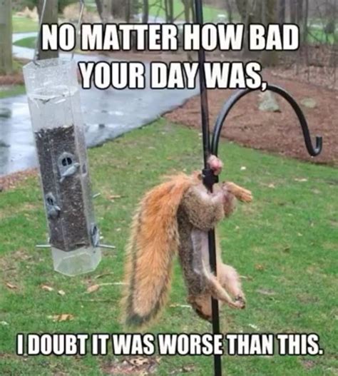 I Doubt You Bad Day Was Worse Than This Bad Day Humor Bad Day Meme