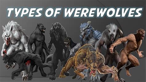 Werewolves Types And Classes Explained Youtube