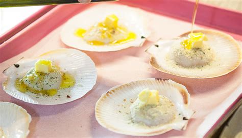 Scallop And Oyster Recipes Fisho Coffin Bay Oysters Wa Jumbo Scallops
