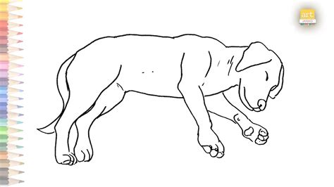 Young Cute Dog Deep Sleeping Drawing How To Draw A Sleeping Dog Step