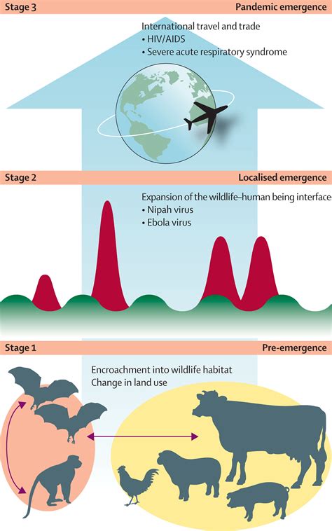 Prediction and prevention of the next pandemic zoonosis - The Lancet