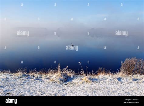 Beautiful Winter Wonderland Stock Photo Alamy