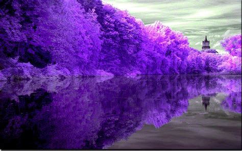 Purple Trees Nature Landscape Lake Lighthouse Wallpaper Nature