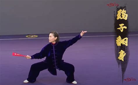 28 Step Tai Chi Fan Tai Chi Notebook