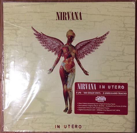 Lots Off 2 Nirvana Albums 3 Lp In Utero 20th Anniversary Catawiki