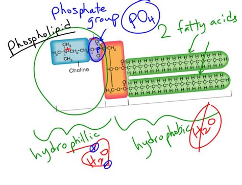 Molecules can attract with each other when they are in a mixture by nonpolar bonds and polar bonds. Organic Molecules - Mel Burgess at CALC