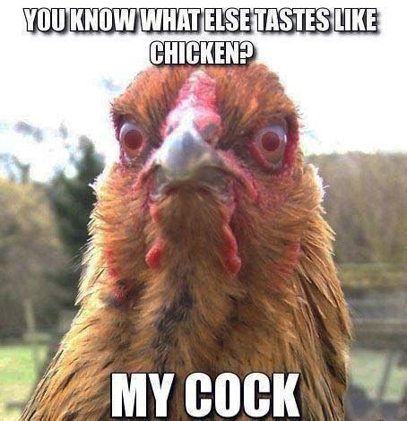 My Cock Meme Subido Por 27jany Memedroid