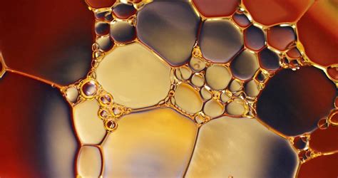Synthetic oil is artificially made of chemical. The Best Synthetic Oil Filters Complete Review & Buyer ...