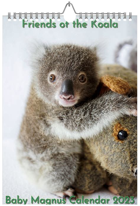 Koala Calendar Free Printable Calendar Friends Of The Koala
