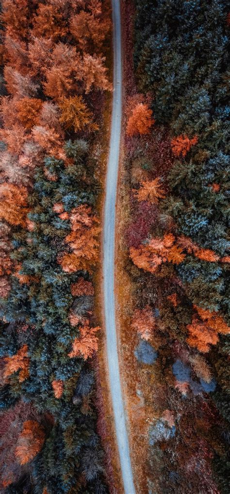 Autumn Road Aerial View Wallpaper 720x1544