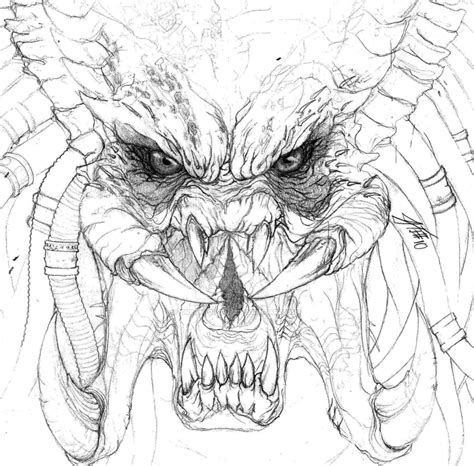 Predator Face Drawing At Getdrawings Free Download