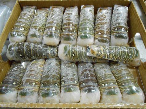 Lobster tails wholesale only as an occasional treat because of the cost, but on alibaba.com huge savings can be made on this delicious seafood when bought in bulk. Wholesale Frozen Lobster Tails - Canned Crab Meats, Canned ...
