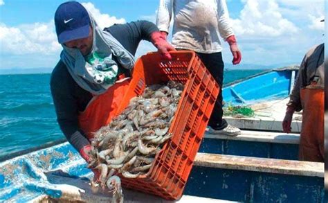 Permanente Vigilancia Para Evitar Delitos Y Actos De Pesca Furtiva La