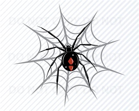 Black Widow Spider Svg Files For Cricut Vector Images Clipart Etsy