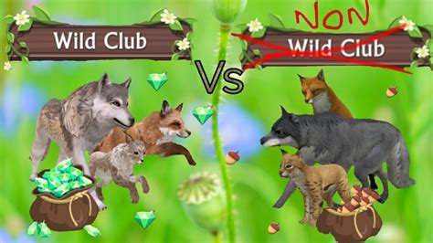 Wildcraft Wildclub Vs Non Wildclub Youtube
