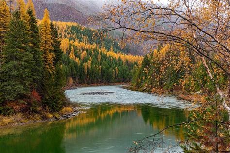 Somerset House Images North Fork Of The Flathead River In Autumn In