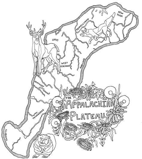 Plateau Drawing at GetDrawings | Free download