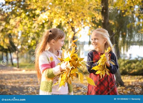 Cute Little Girls With Autumn Leaves In Park Stock Photo Image Of