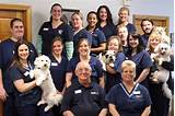 North Main Veterinary Clinic Brockton Images