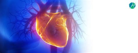 Leaky Heart Valve Symptoms And Treatment Cardiology Healthsoul