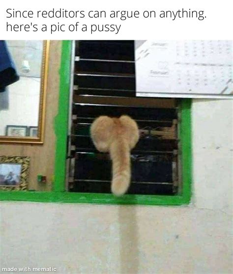 Nice Pussy Rmemes