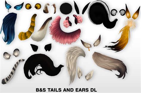 Cat Ears And Tail Shop Outlet Save 61 Jlcatjgobmx