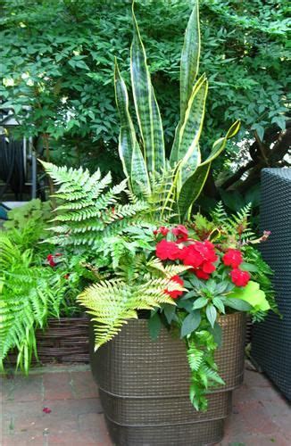 136 Best Shade Container Gardens Images On Pinterest Pot