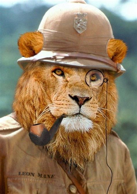 Funny Lion Picture In Gentleman Style Funny Lion Pictures Funny Lion