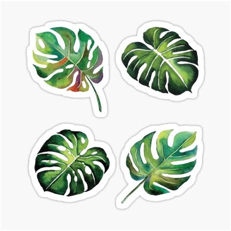 En maak je eigen stickers. "olive twig sticker" Sticker by geolescent | Redbubble in ...