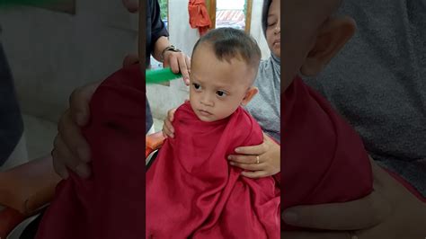 We did not find results for: Konsep 32+ Cara Potong Rambut Bayi Aqiqah