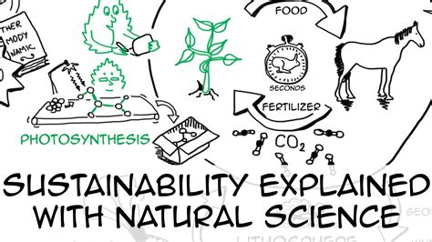 Sustainability videos to learn and teach
