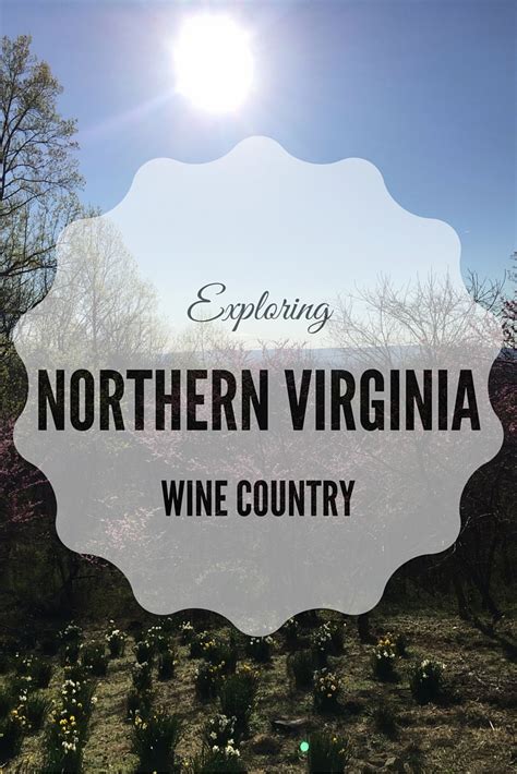 Northern Virginia Wine Tasting Review Stone Tower Winery And Willowcroft