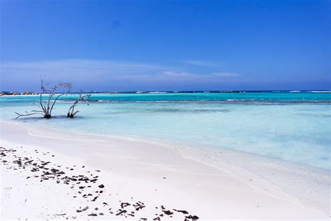Baby Beach Aruba Arubas Unglaublicher Paradiesstrand