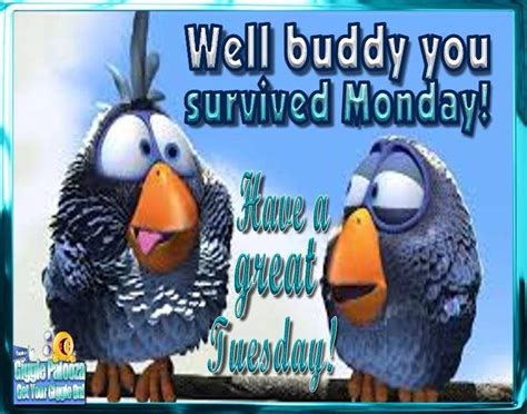 You Survived Monday Have A Great Tuesday Pictures Photos And Images