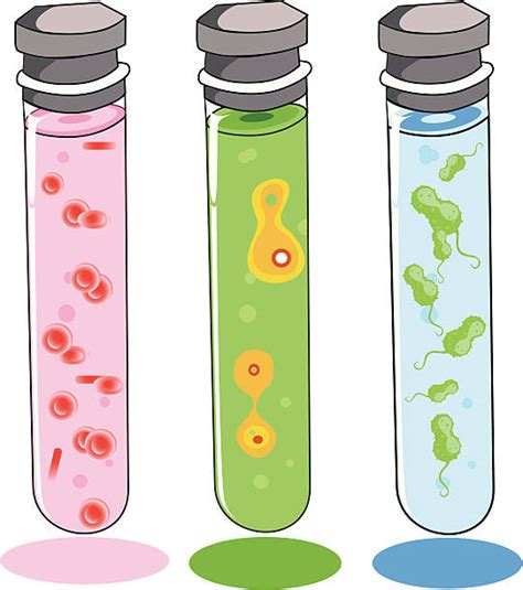 Royalty Free Blood Test Tube Clip Art Vector Images And Illustrations