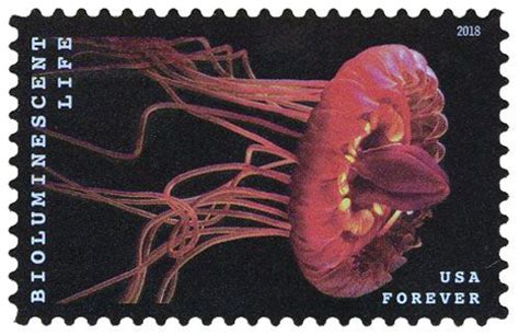 2018 First Class Forever Stamp Bioluminescent Life Crown Jelly