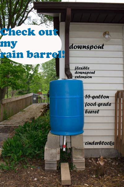 While rainwater is not recommended for cooking or. My DIY Rain Barrel (and how we built it)